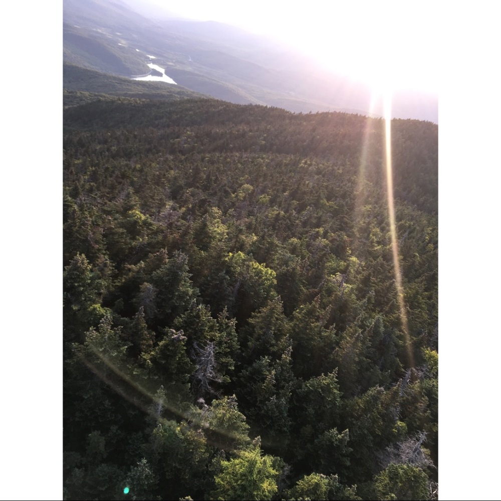 ASK ANY PRICE IN MY CLOSET